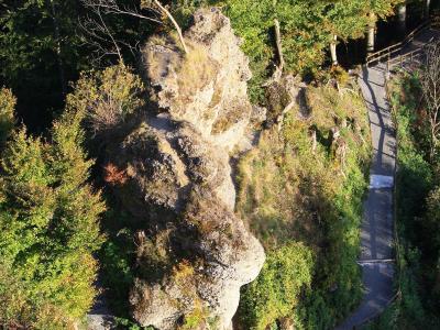 A high-angle view of a winding paved path with wooden railings descending through a dense forest, featuring a prominent, jagged rock formation in the center.