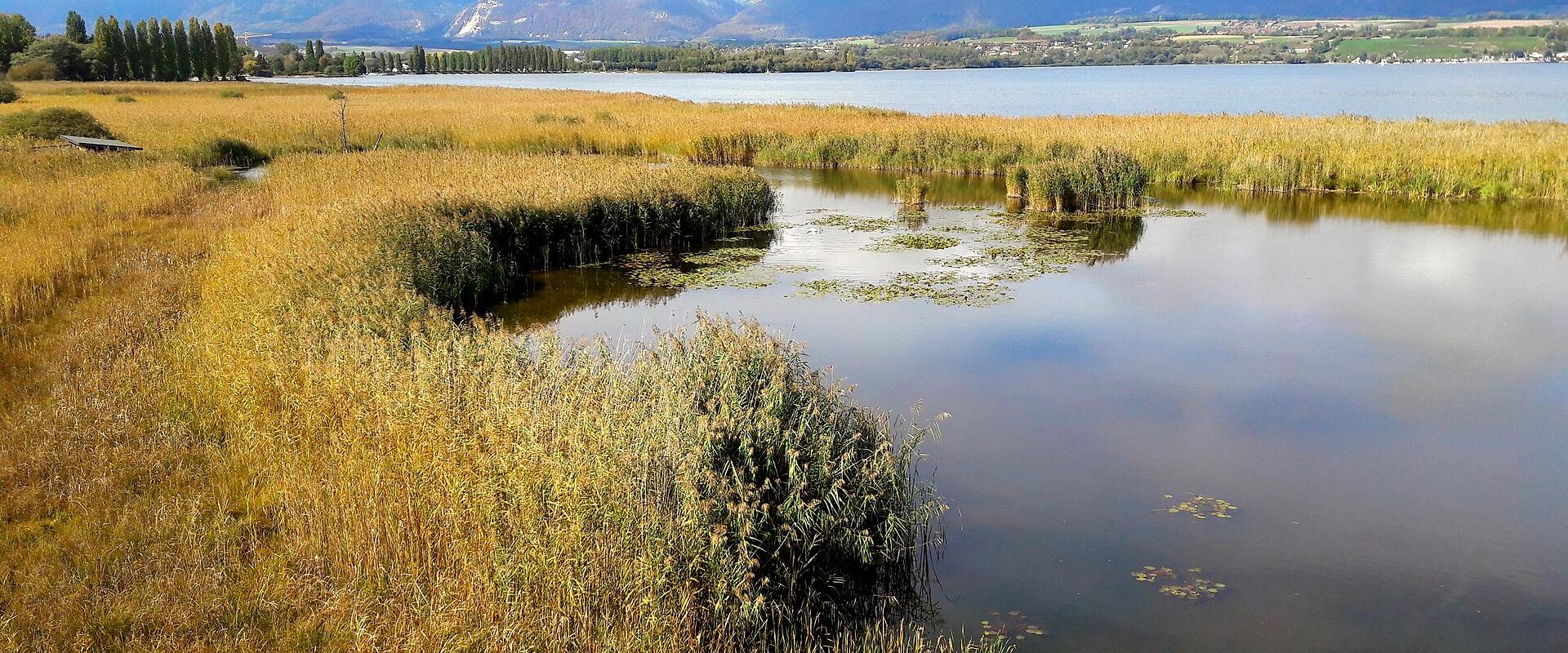 Grande Cariça Nature Reserve