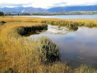 Grande Cariça Nature Reserve