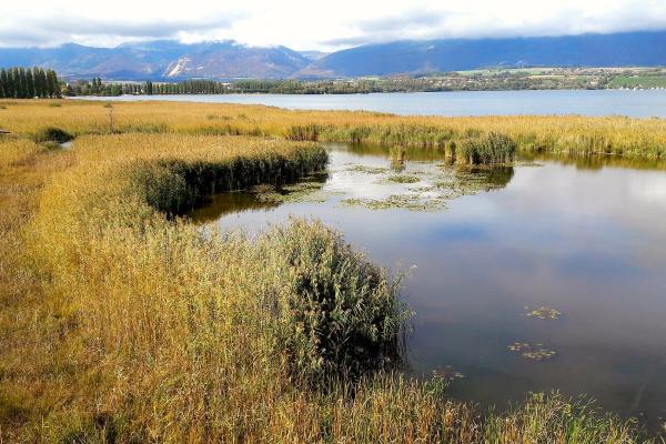 Grande Cariça Nature Reserve