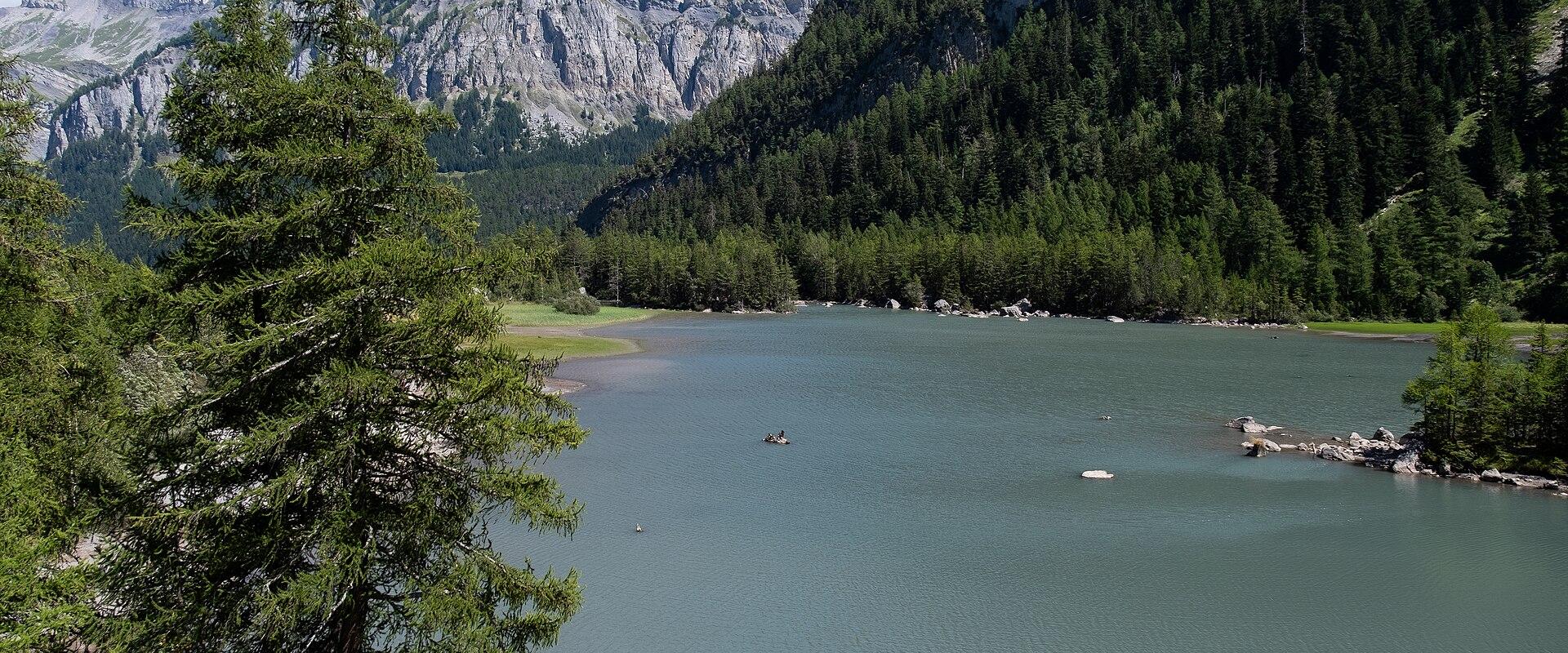 A landscape photograph showing a calm alpine lake surrounded by dense coniferous forests and steep, rocky mountain peaks under a blue sky with clouds, featuring a prominent tree in the left foreground.