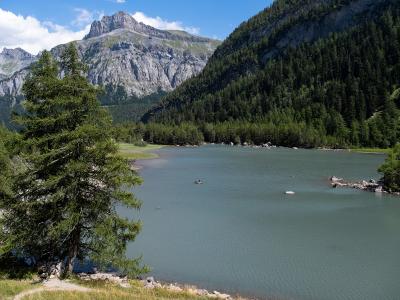 A landscape photograph showing a calm alpine lake surrounded by dense coniferous forests and steep, rocky mountain peaks under a blue sky with clouds, featuring a prominent tree in the left foreground.