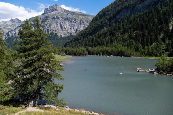 Lac De Derborence
